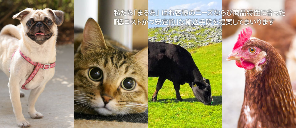 株式会社まるあ業務イメージ写真09